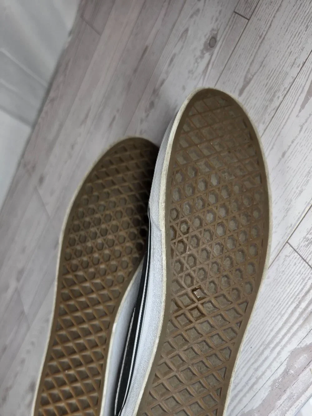 Vans classic styling